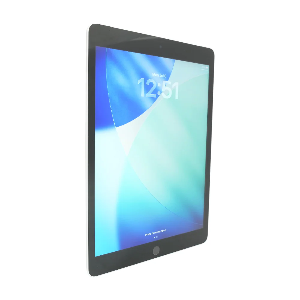 iPad 9 10.2" Silver 9th Gen 256GB Cellular Tablet