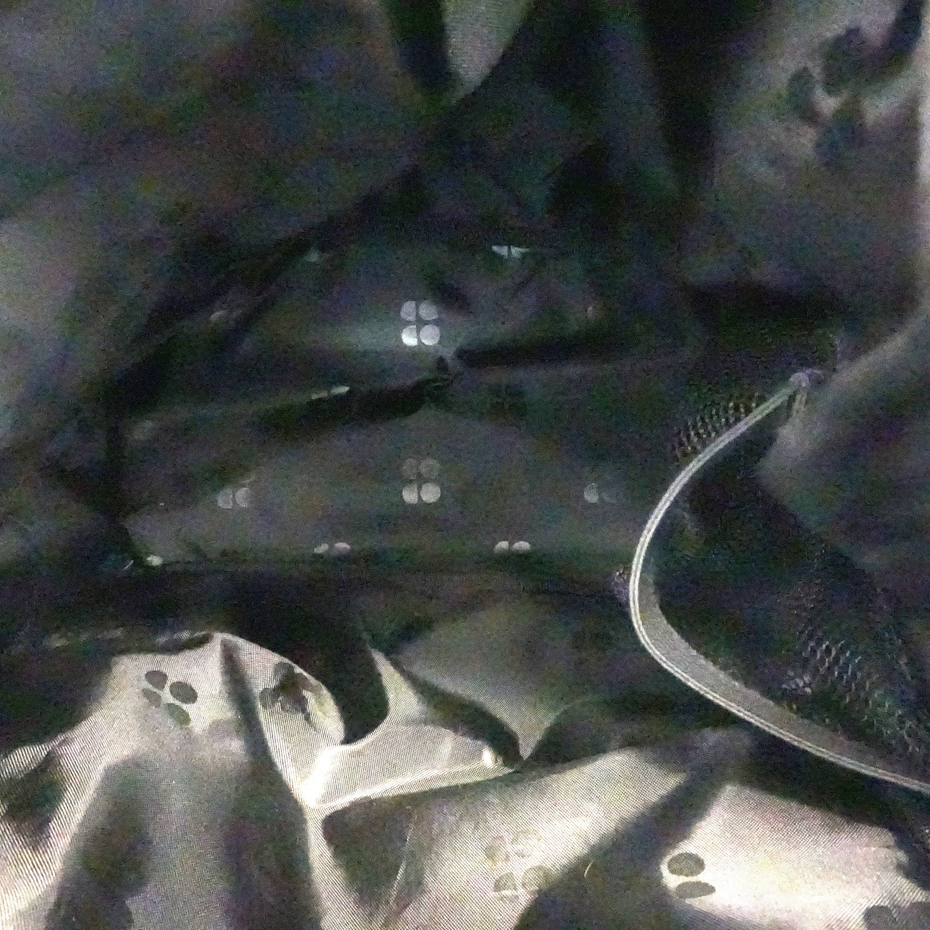 Black Backpack - Image 3