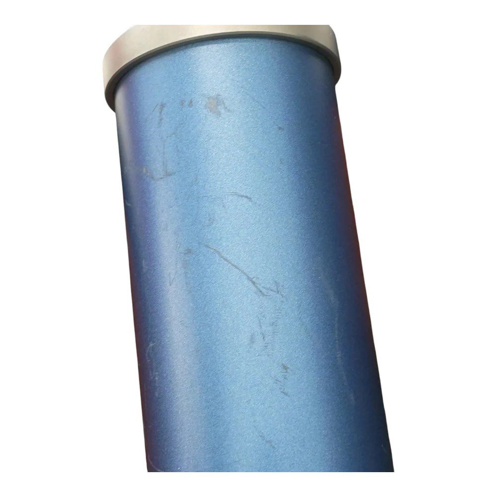 Bluebird SL XLR Microphone - Image 4