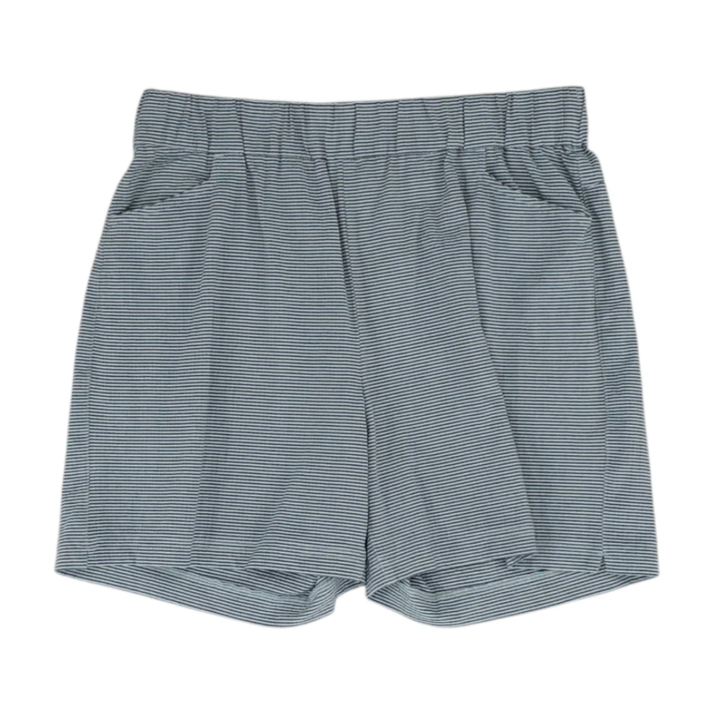 Blue Striped Chino Shorts