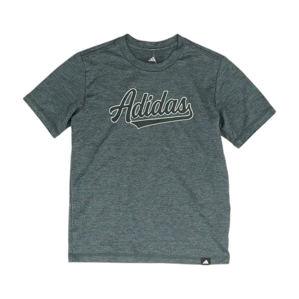 Gray T-Shirt